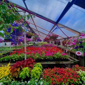 Meet your Posher, Erika